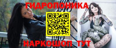 apvp Можга