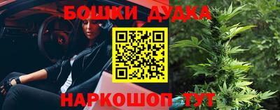 apvp Можга
