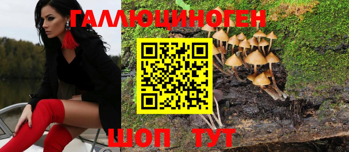 купить наркоту  Вход с VPN  Чапаевск  Галлюциногенные грибы MAGIC MUSHROOMS 